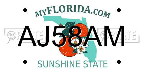 AJ58AM Florida License Plate