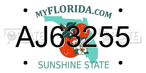 AJ63255 Florida License Plate