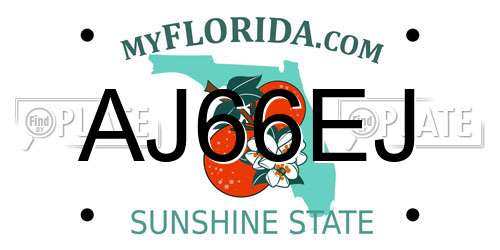 AJ66EJ Florida License Plate