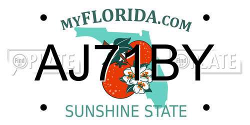 AJ71BY Florida License Plate