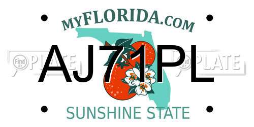 AJ71PL Florida License Plate