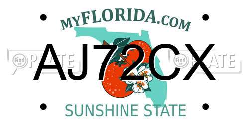 AJ72CX Florida License Plate