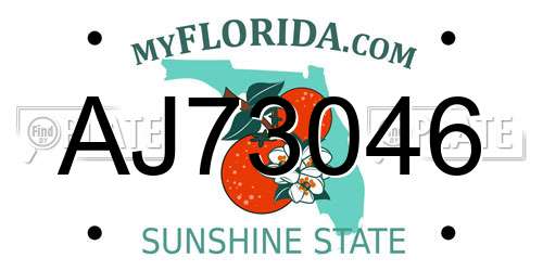 AJ73046 Florida License Plate