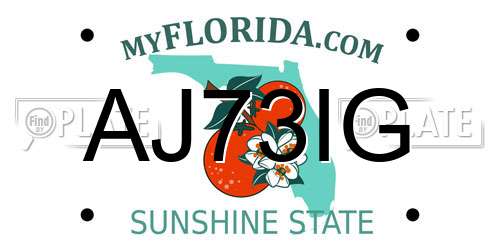AJ73IG Florida License Plate