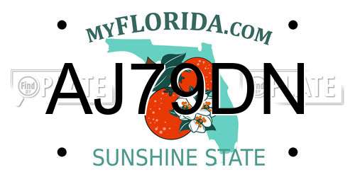 AJ79DN Florida License Plate