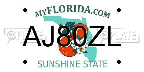 AJ80ZL Florida License Plate