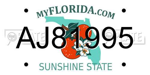 AJ81995 Florida License Plate