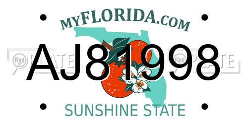 AJ81998 Florida License Plate