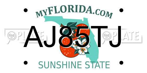 AJ85TJ Florida License Plate