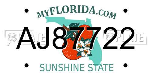 AJ87722 Florida License Plate