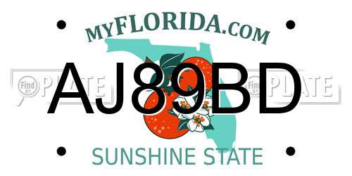 AJ89BD Florida License Plate