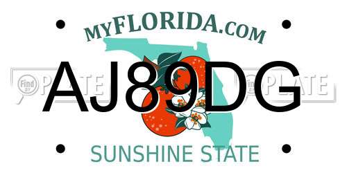 AJ89DG Florida License Plate