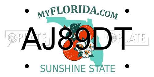 AJ89DT Florida License Plate