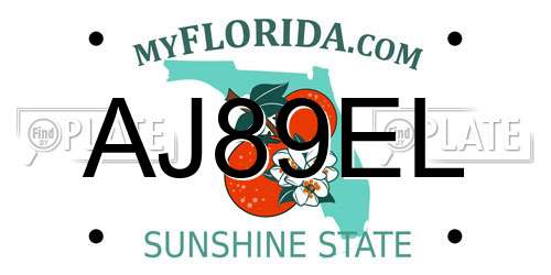 AJ89EL Florida License Plate