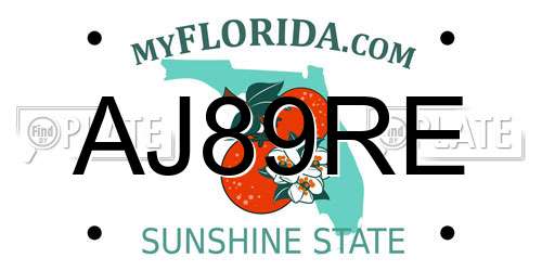 AJ89RE Florida License Plate