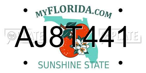 AJ8T441 Florida License Plate
