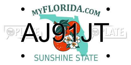 AJ91JT Florida License Plate
