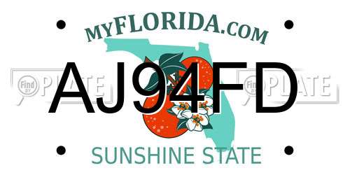 AJ94FD Florida License Plate