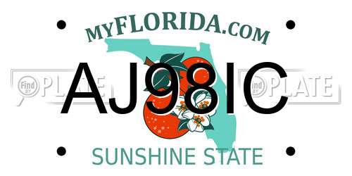 AJ98IC Florida License Plate