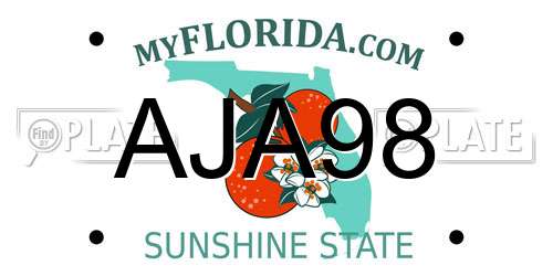 AJA98 Florida License Plate