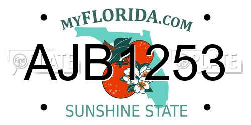 AJB1253 Florida License Plate