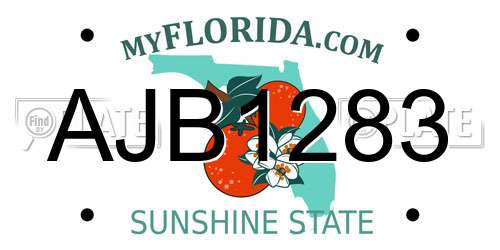 AJB1283 Florida License Plate