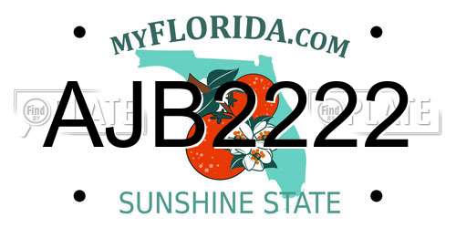 AJB2222 Florida License Plate