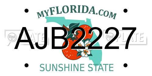 AJB2227 Florida License Plate