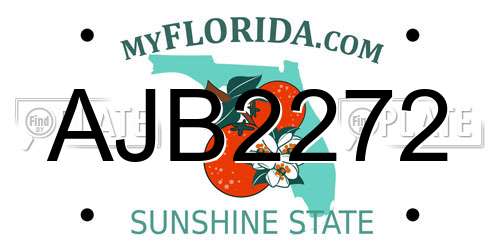 AJB2272 Florida License Plate