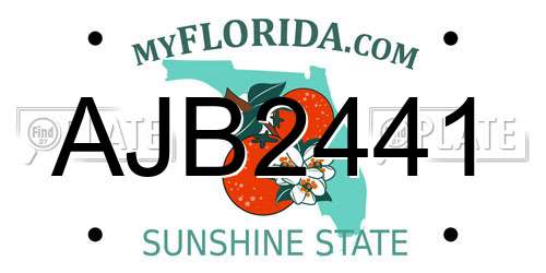 AJB2441 Florida License Plate