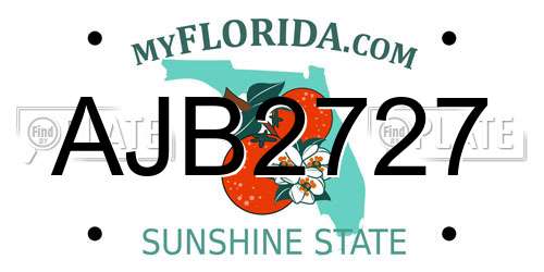 AJB2727 Florida License Plate