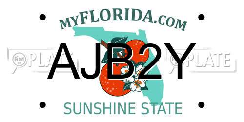 AJB2Y Florida License Plate