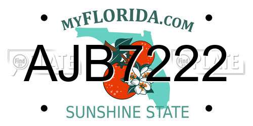 AJB7222 Florida License Plate