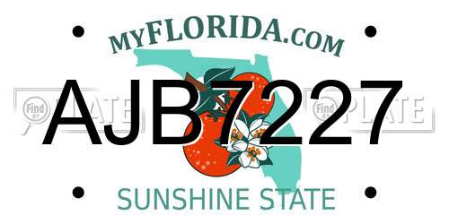 AJB7227 Florida License Plate