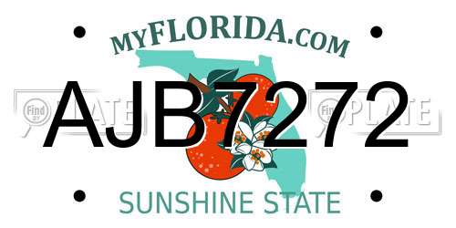 AJB7272 Florida License Plate