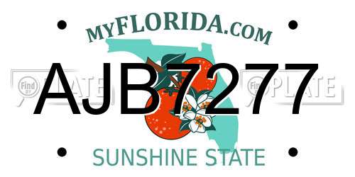 AJB7277 Florida License Plate
