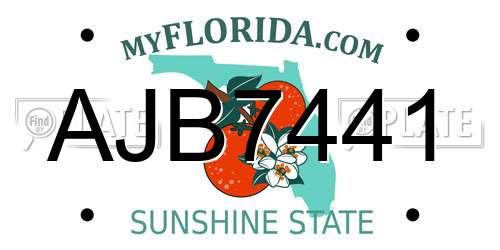 AJB7441 Florida License Plate