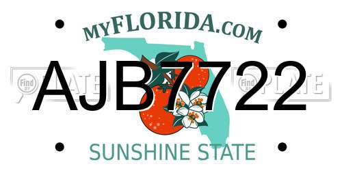 AJB7722 Florida License Plate