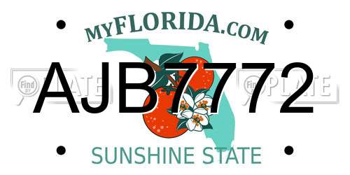 AJB7772 Florida License Plate