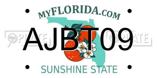 AJBT09 Florida License Plate