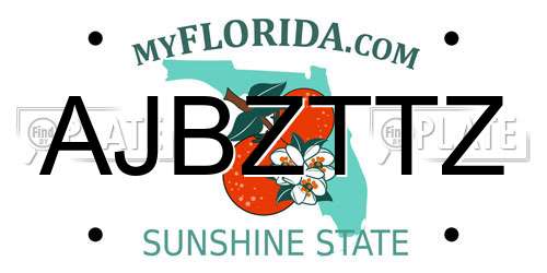 AJBZTTZ Florida License Plate