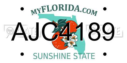 AJC4189 Florida License Plate