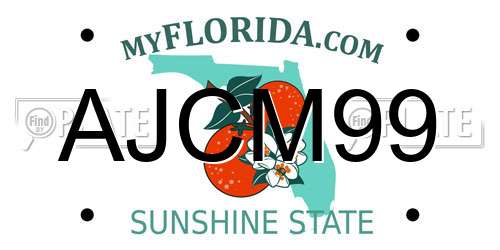 AJCM99 Florida License Plate
