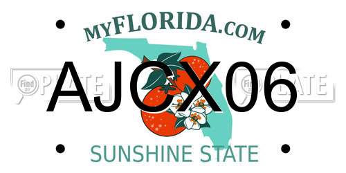AJCX06 Florida License Plate