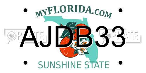 AJDB33 Florida License Plate