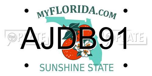 AJDB91 Florida License Plate