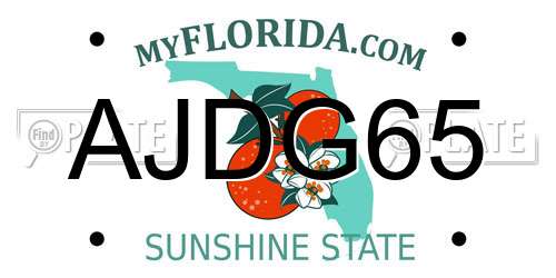 AJDG65 Florida License Plate