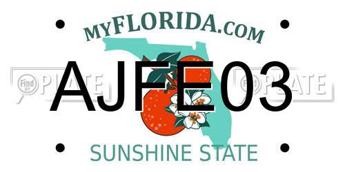 AJFE03 Florida License Plate