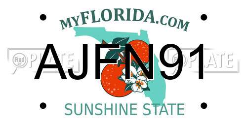 AJFN91 Florida License Plate