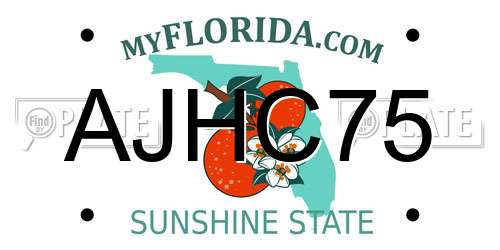 AJHC75 Florida License Plate